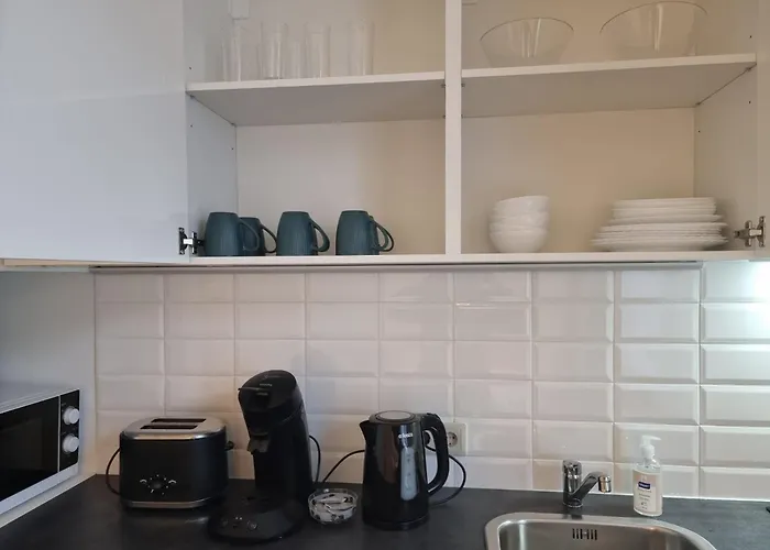 River View 2 Bedroom With Parking 公寓 里加